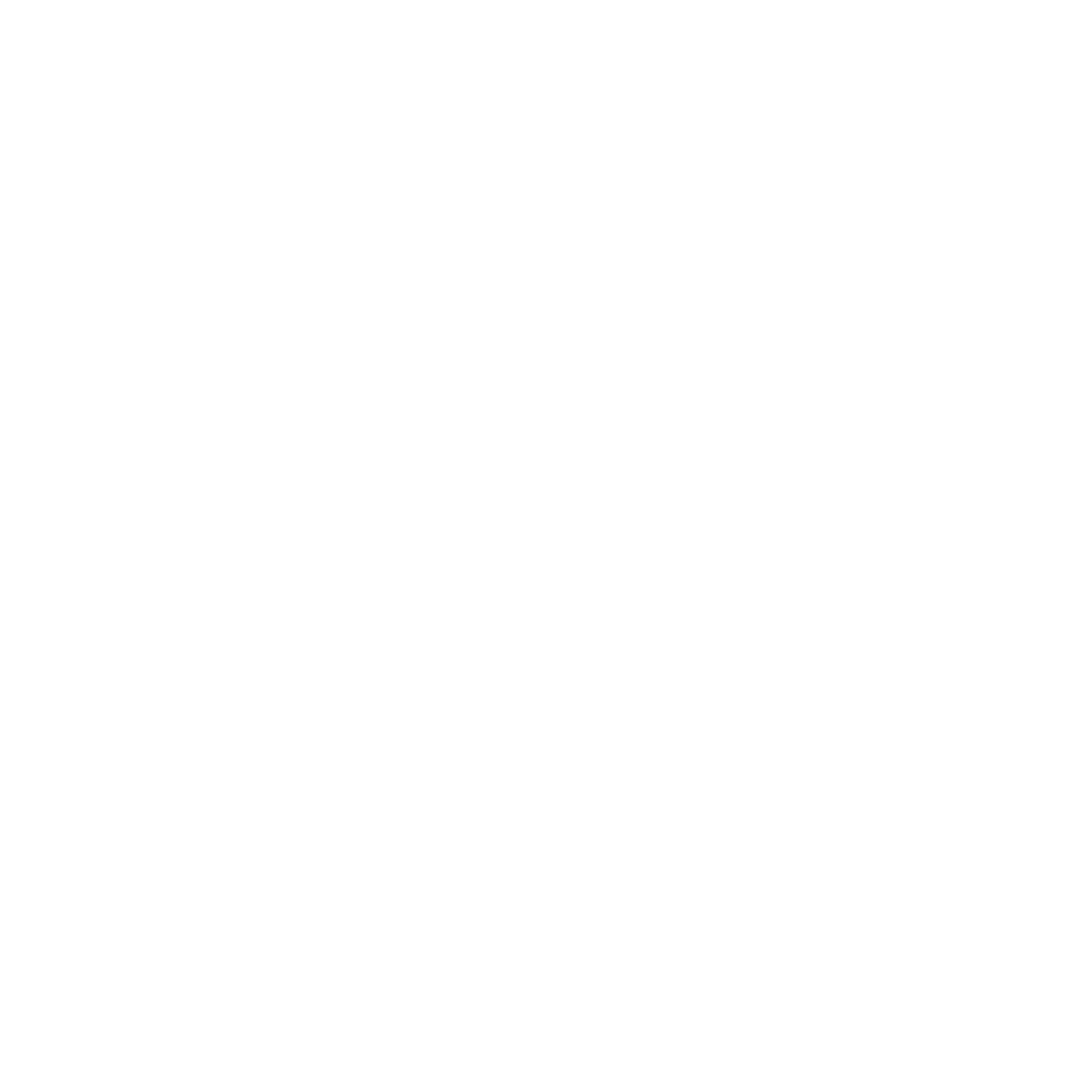 Texan Floor Service Logo